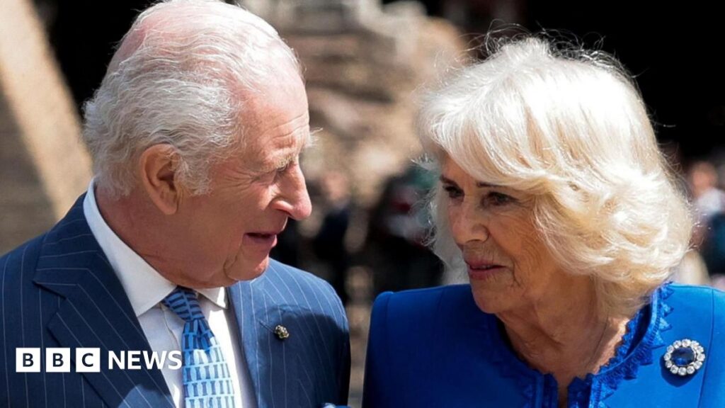 King Charles and Queen Camilla look at each other