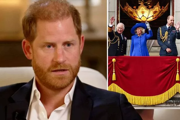 Prince Harry and the Royal Family 