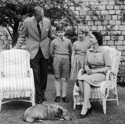 Photograph, People, Family, Sitting, Companion dog, Canidae, 