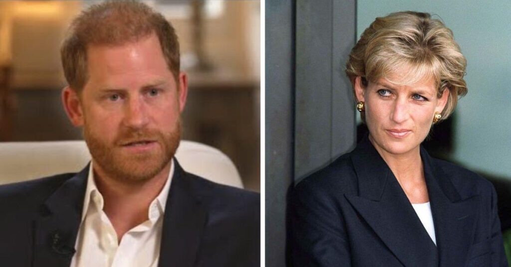 Author Reveals What Diana Would’ve Thought About Harry’s BBC Outburst: ‘She Liked…’
