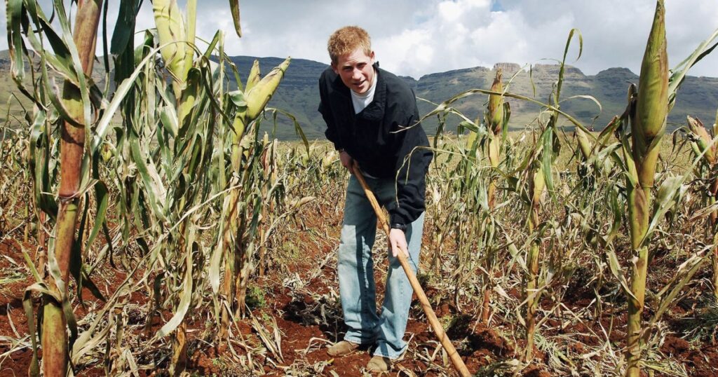 Prince Harry resigns as patron of African charity he set up in memory of his late mother