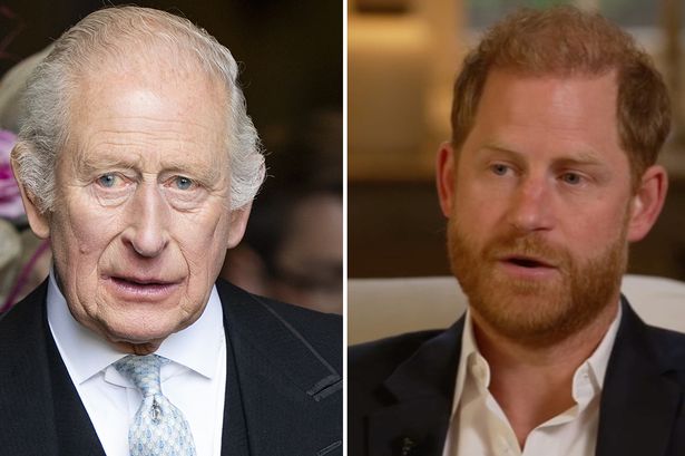 King Charles and Prince Harry