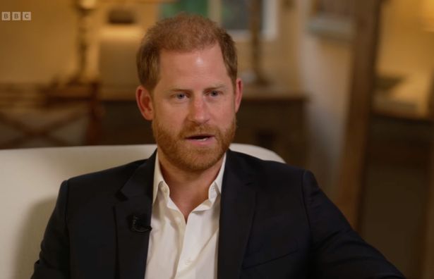 Prince Harry during BBC interview