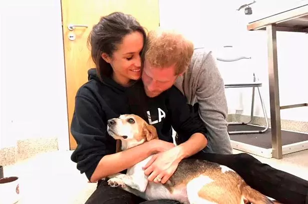 Meghan and Harry have been married for seven years now
