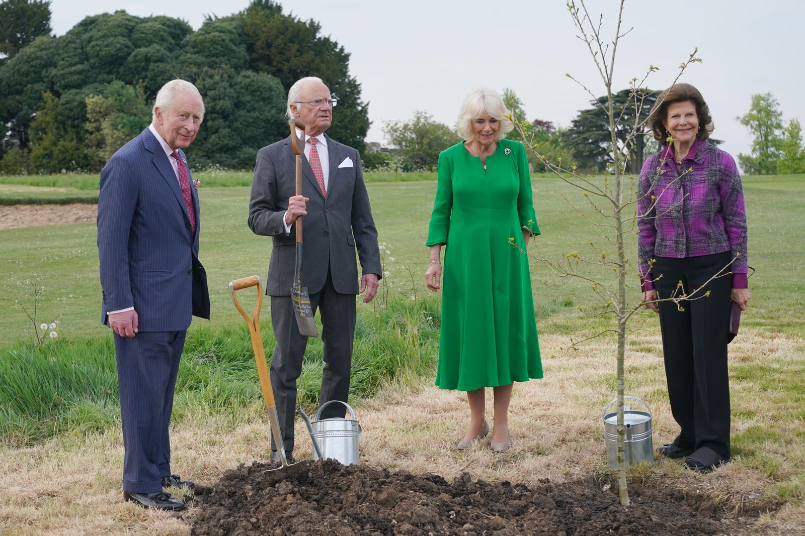 Image may contain Charles Prince of Wales Carl XVI Gustaf of Sweden Neelie Kroes Erika Pluhar Adult Person and Plant