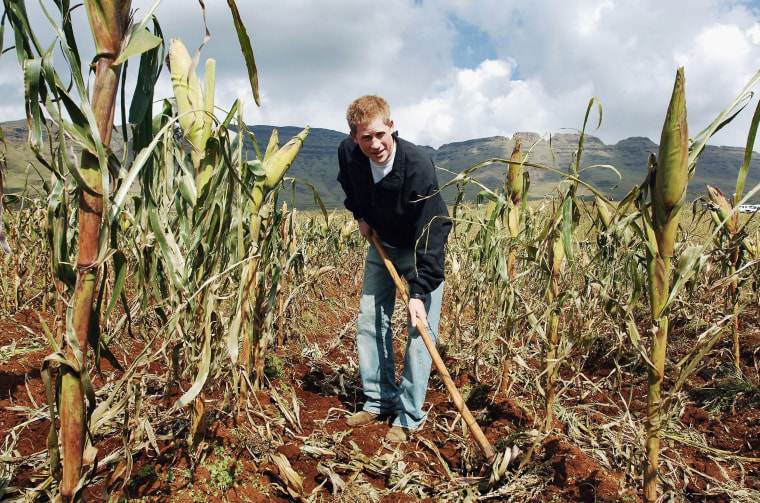 Prince Harry Returns to Lesotho To Launch Charity