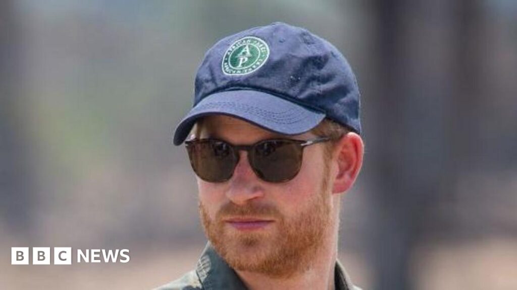 Prince Harry, wearing a cap and sunglasses - the Duke of Sussex is watchning an anti-poaching demonstration exercise conducted jointly by local rangers and UK military deployed on Operation CORDED at the Liwonde National Park during the royal tour of Africa on 30 September 2019 in Malawi