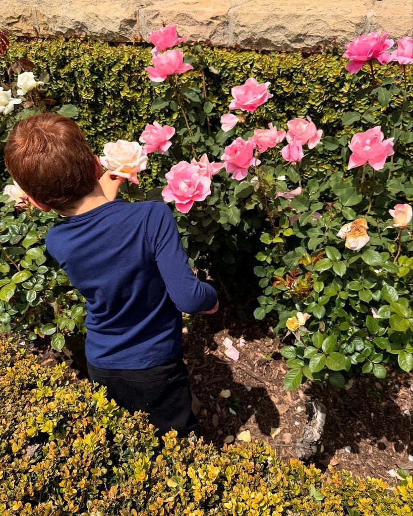 Prince Archie Harrison tends to a rose in a photo captured by Meghan Markle in their garden