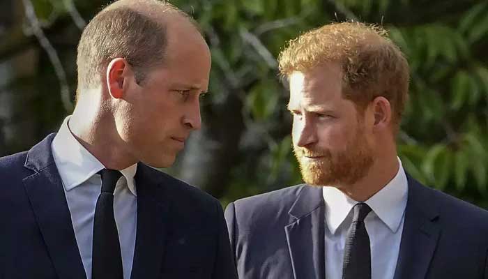 Prince Williams cousins stun at Cannes Film Festival