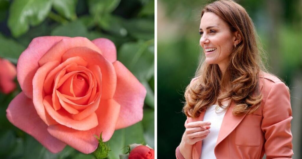 Princess Kate handed incredible new honour with link to key project | Royal | News Princess Kate handed incredible new honour with link to key project | Royal | News