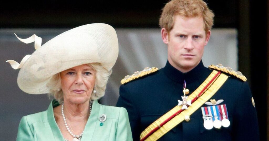 Prince Harry's cruel two-word nickname for Queen Camilla revealed | Royal | News