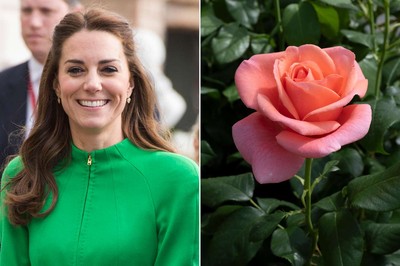 New rose named after Princess of Wales to celebrate nature’s healing power New rose named after Princess of Wales to celebrate nature's healing power