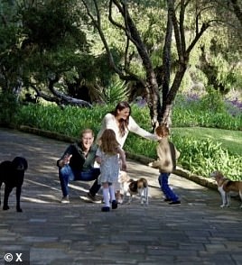 Meghan and Harry's rescue, beagle Mia, was first seen in the family's Christmas card last December