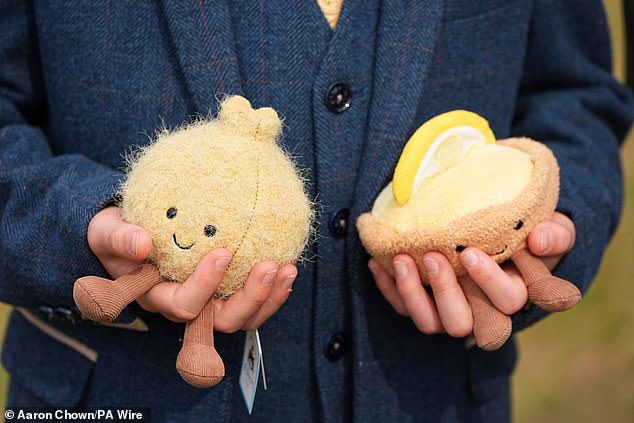 The Jellycat soft toys presented to the Prince and Princess of Wales by the family of Liz Hatton