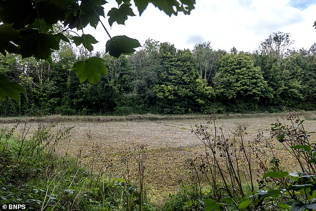 Pictured: The land that is set to be built on by the Duchy. There are concerns more generally the Duchy seems to be 'taking over west Dorset'