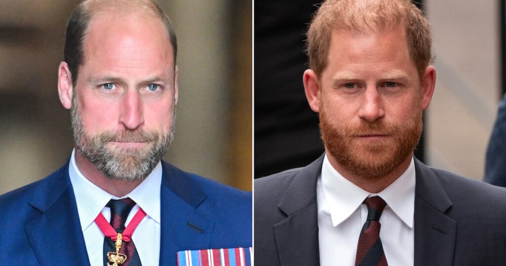 Prince Harry and Prince William Seemingly Omitted From Uncle’s Will Prince Harry and Prince William Seemingly Omitted From Uncle’s Will