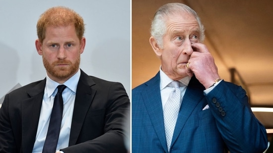 A new book has claimed that Prince Harry asked his father, King Charles, a heartbreaking question after he was asked to leave Frogmore cottage (AP/PTI, James Manning/Pool via REUTERS)