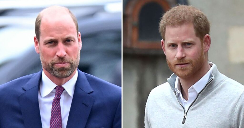 Prince William Reflects on Grief Amid Prince Harry Rift Prince William Reflects on Grief Amid Prince Harry Rift