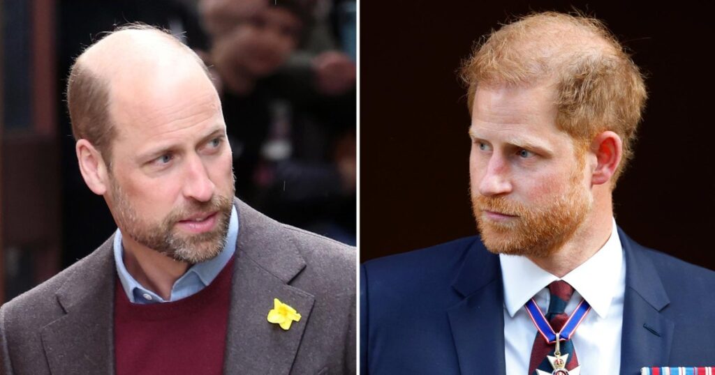 Prince William Done With Prince Harry Amid Feud, Source Says