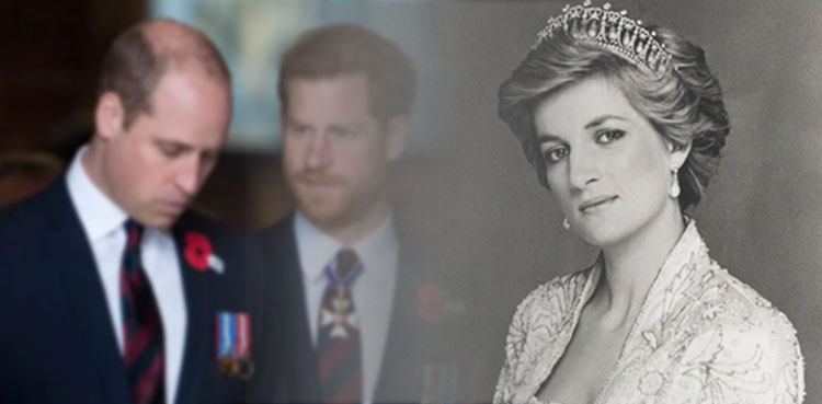 Princess Diana cute nickname for Prince William and Prince Harry Princess Diana cute nickname for Prince William and Prince Harry
