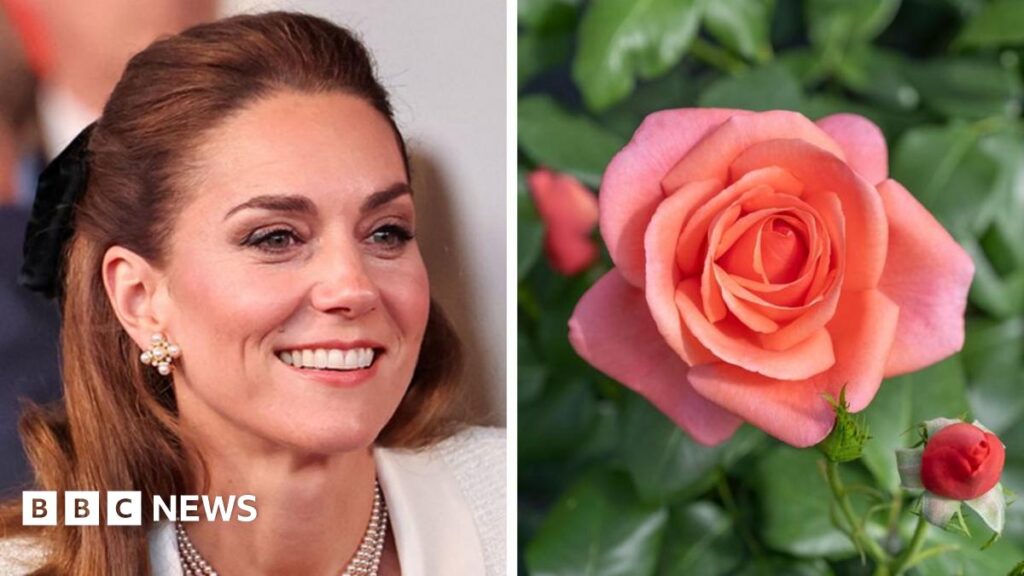 Rose named after Princess of Wales to celebrate ‘power of nature’ Image shows the Princess of Wales visiting the Ardura Community Forest, Isle of Mull, Scotland, Britain, on 30 April, 2025
