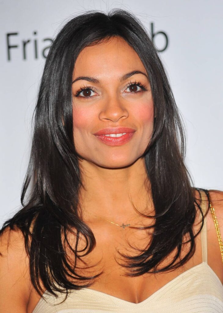 Rosario Dawson | Friars Club Roast of Quentin Tarantino, Hilton New York, New York (December 1, 2010)