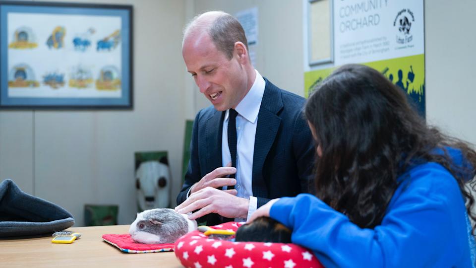 Prince William visits Woodgate Valley Urban Farm in Birmingham, England