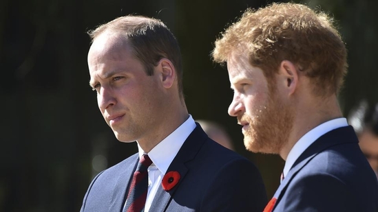 Prince Harry's memoir exposes brother Prince William's well-intended advice on fast-moving romance with Meghan Markle. (AP)
