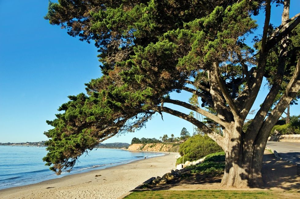 Butterfly Beach
