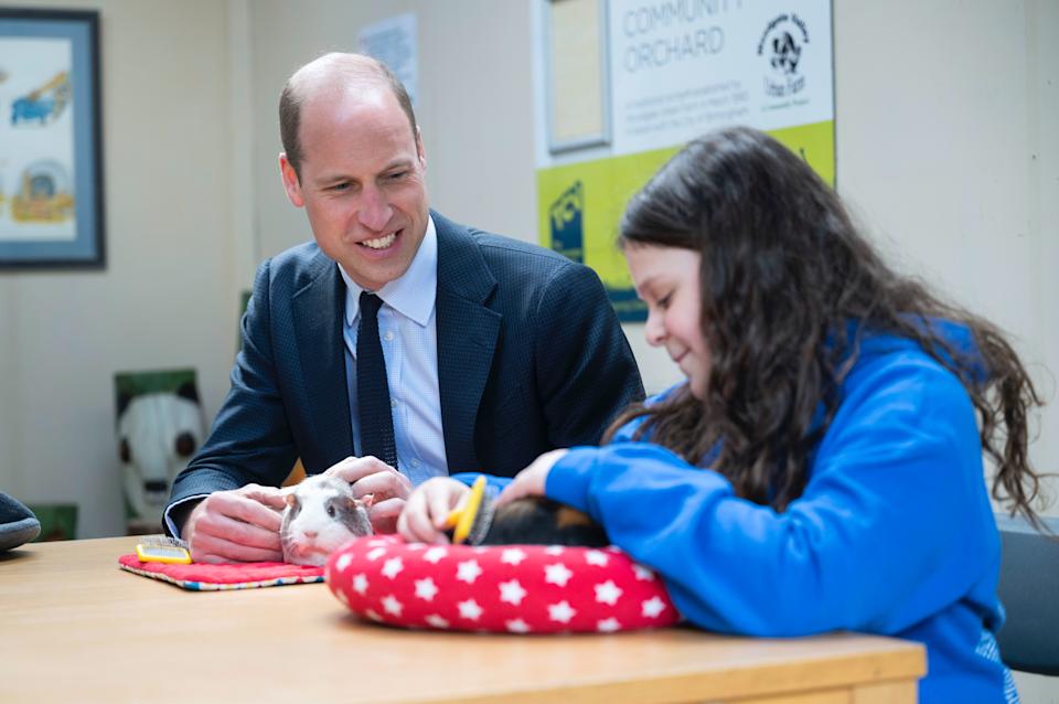 Prince William with a guinea pig during a visit to a farm