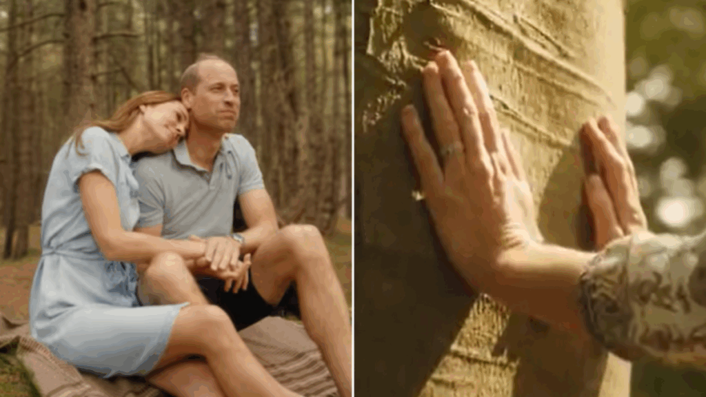 Princess Kate shares mental health update after undergoing cancer treatment Princess Kate shares mental health update after undergoing cancer treatment