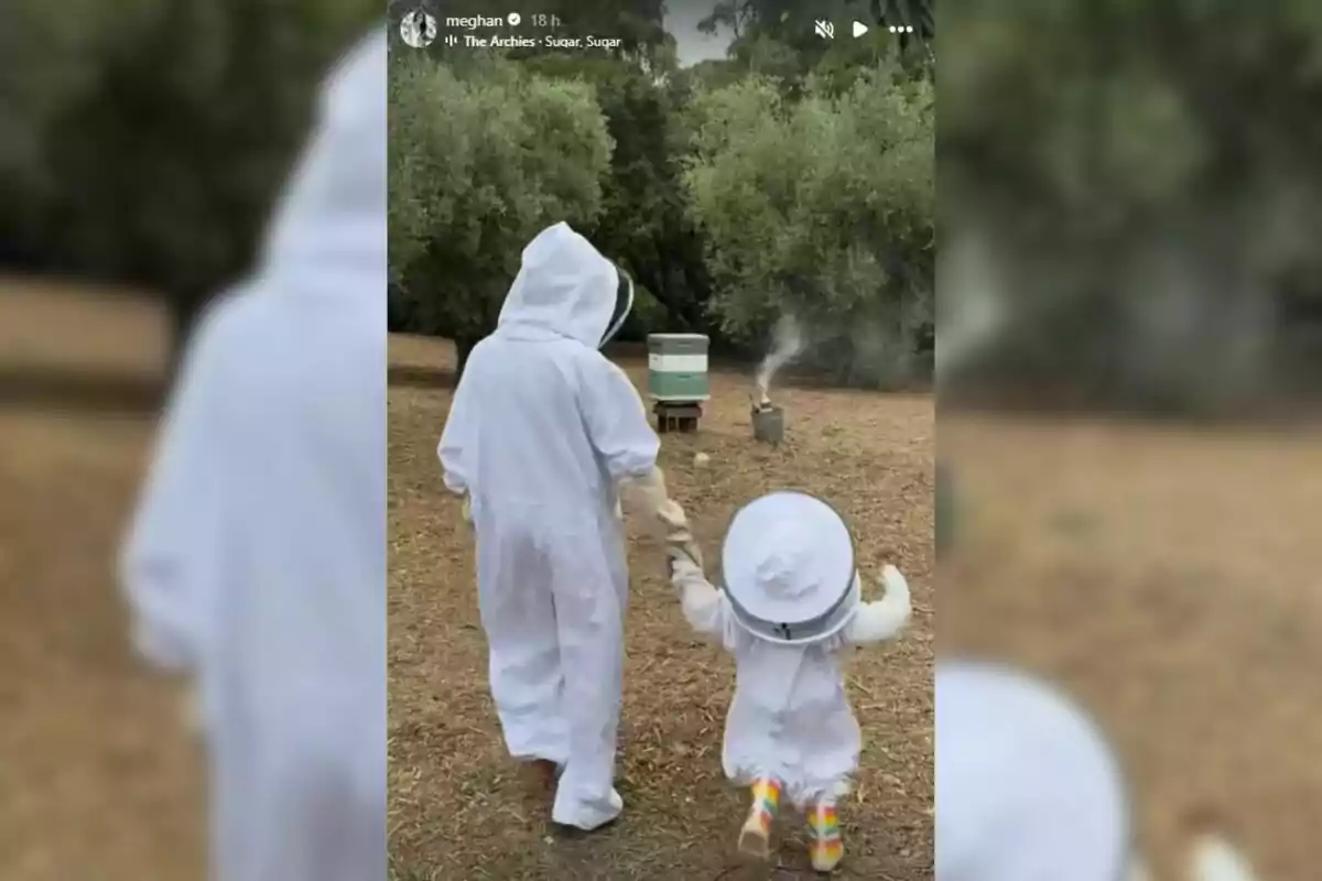 Two people dressed in beekeeping suits walk hand in hand toward a beehive in a natural setting surrounded by trees. Two people dressed in beekeeping suits walk hand in hand toward a beehive in a natural setting surrounded by trees.