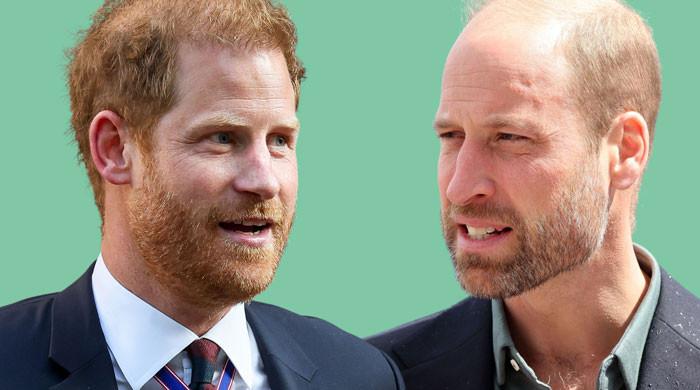 King Charles, Prince William close doors at Harry as feud deepens