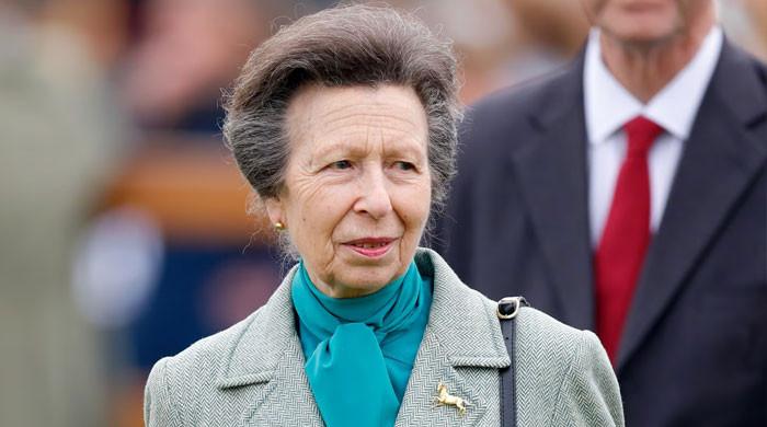Princess Anne quietly supports King Charles amid new Harry claims