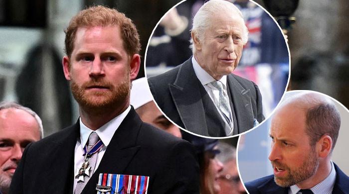 Prince Harry ‘poking’ King Charles, Prince William with foolish moves