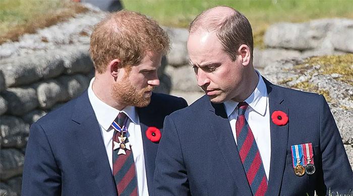 Prince William vows to shield his heirs after Harry’s latest mic drop Prince William vows to shield his heirs after Harry’s latest mic drop