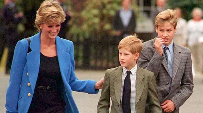 Prince Harry's uncle reveals heartbreaking truth about Princess Diana's death