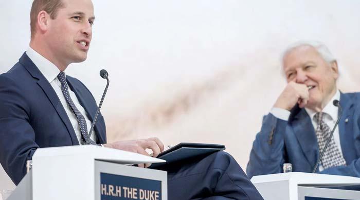 Prince William calls Sir David Attenborough inspiration for his children Prince William calls Sir David Attenborough inspiration for his children