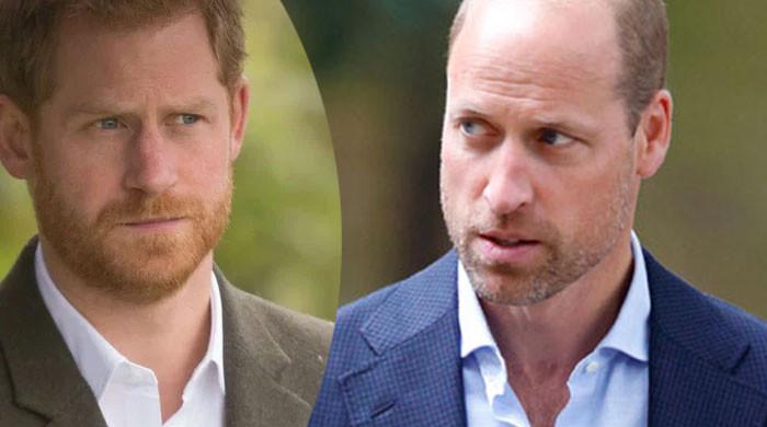 Prince Harry's been launched further than ever from Prince William?