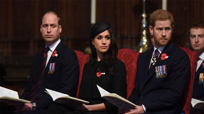 Prince Harry, Meghan Markle get exciting news about royal titles after olive branch