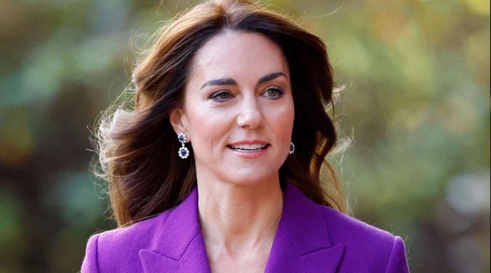 Kate Middleton fears about Prince Harry's situation come into view: ‘She's worried'