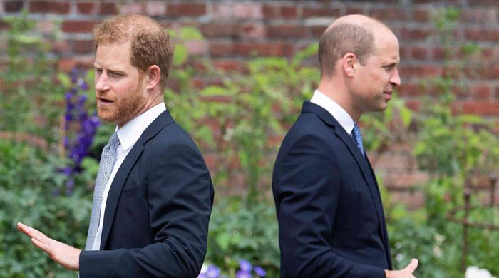 Prince William's plans for Prince Harry, Meghan branded an insult waiting to happen