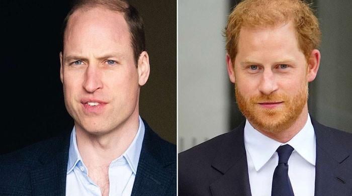 Prince Harry compared to ‘non-elitist’ Prince William and Kate Mdidleton Prince Harry compared to ‘non-elitist' Prince William and Kate Mdidleton