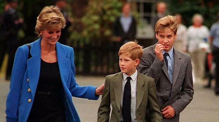 Prince William, Prince Harry still divided over what Diana truly stood for Prince William, Prince Harry still divided over what Diana truly stood for