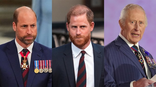 Will Prince Harry Preserve His Royal Ties? Will Prince Harry Preserve His Royal Ties?