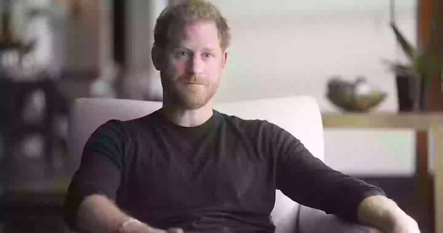 Prince Harry revealed all in a bombshell memoir (Netflix)