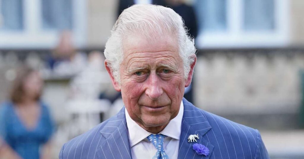 Buckingham Palace Cleverly Rebuts Prince Harry’s Comments About King Charles’ Health