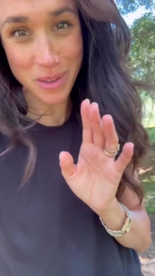 Meghan Markle waving.