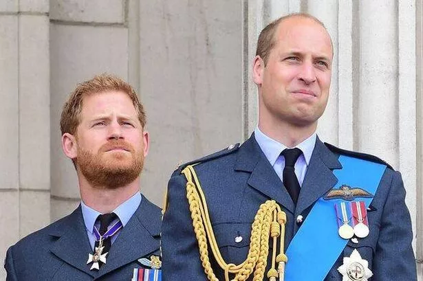 Prince Harry and Prince William