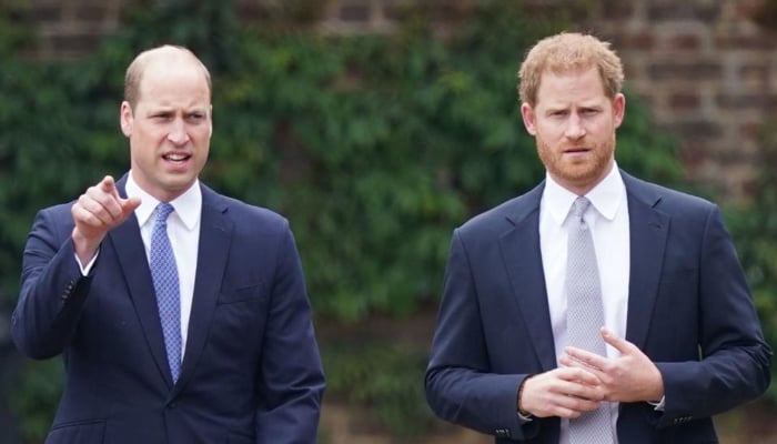 Prince Harry Spare claims reappear after William dubs demanding